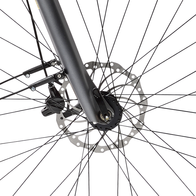 Electric city bike Peugeot eC01 D10 Plus