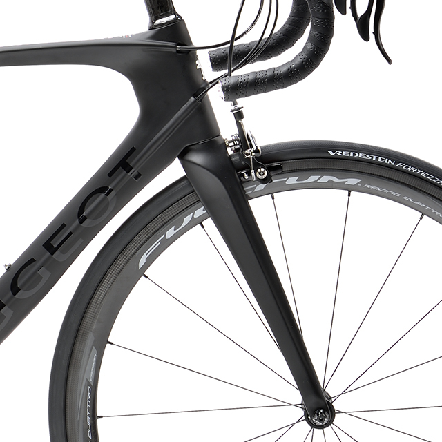 R01 A la carte picture UD Carbon fork