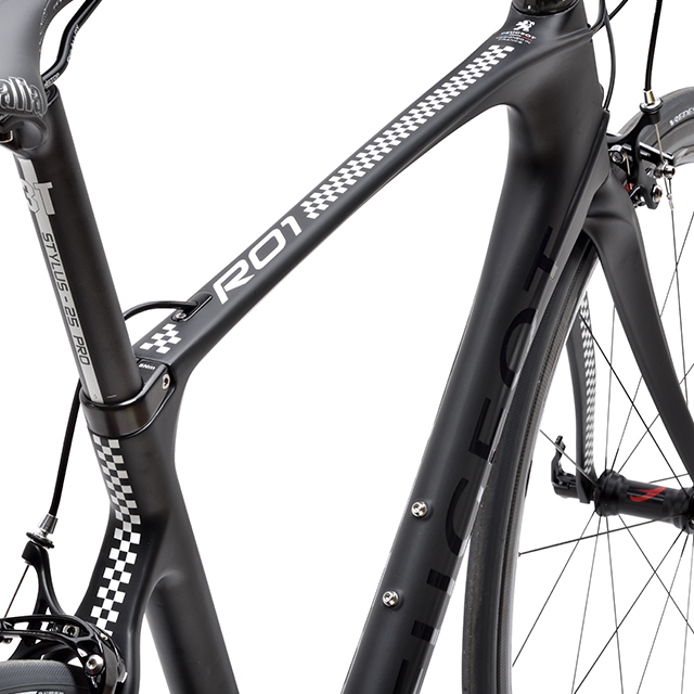 R01 A la carte picture UD carbon frame