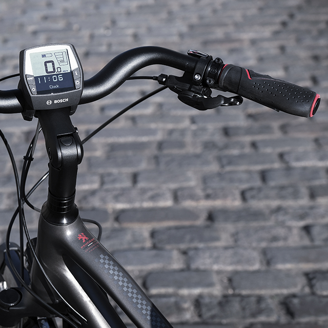 Electric trekking bike Peugeot eT01 XT 10