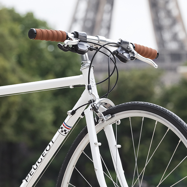 Retro bike Peugeot LR01