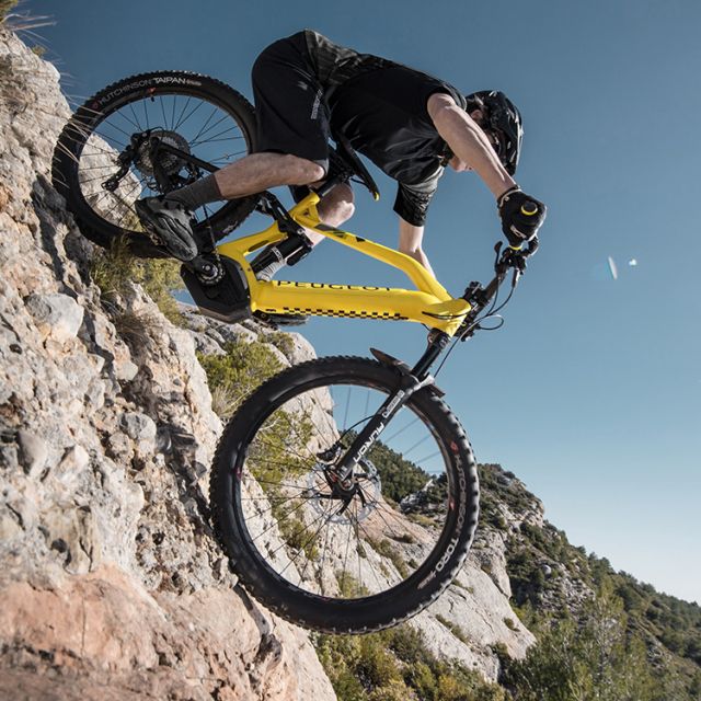 Mountain bike Peugeot