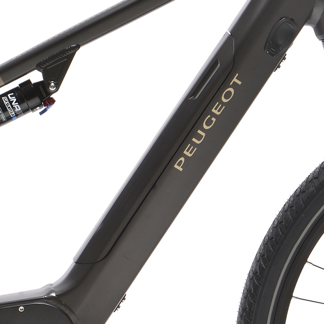 Focus on Bosch Active Line with integrated battery